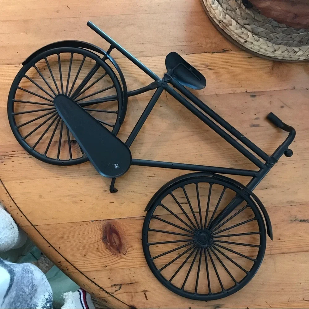 N/A 🚲metal bicycle